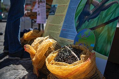 [Bitte in "Dansk" übersetzen:] 